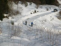 IMG_7938.jpg