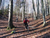 Novembrska, 19.11.2005 Foto BojanU
