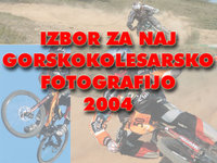 Naj2004