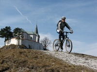 2007