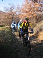 2006