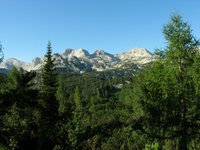 IMG_7204.jpg