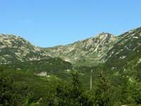 IMG_7206.jpg