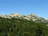IMG_7207.jpg