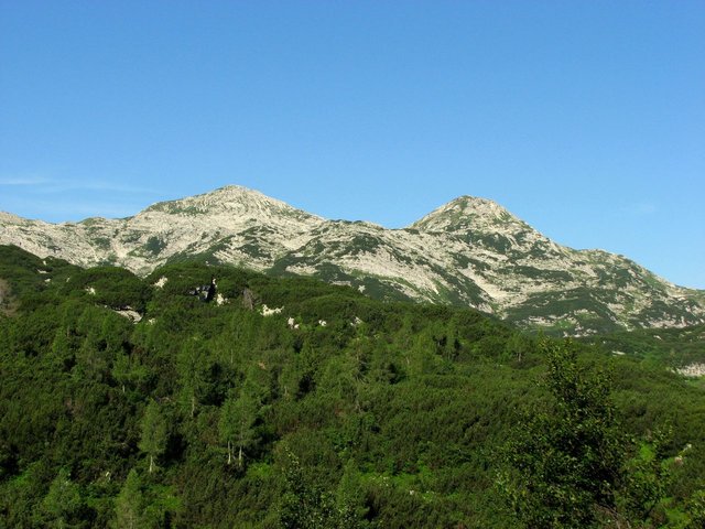 IMG_7207.jpg