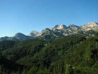 IMG_7211.jpg