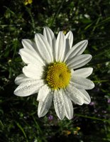 IMG_7215.jpg