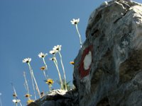 IMG_7224.jpg