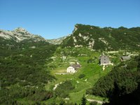 IMG_7227.jpg