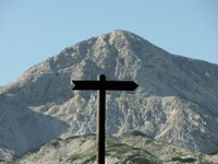 IMG_7240.jpg