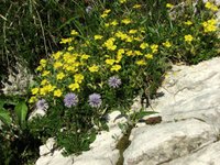 IMG_7251.jpg