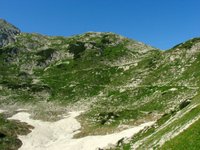 IMG_7256.jpg