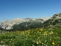 IMG_7276.jpg