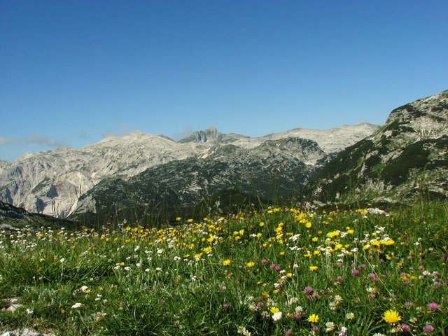 IMG_7276.jpg