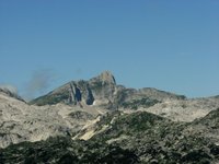 IMG_7279.jpg