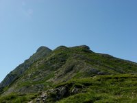 IMG_7282.jpg