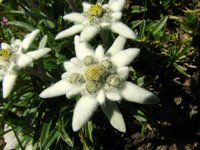 IMG_7285.jpg