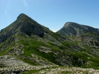 IMG_7291.jpg