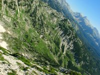 IMG_7300.jpg