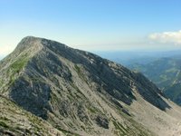 IMG_7303.jpg