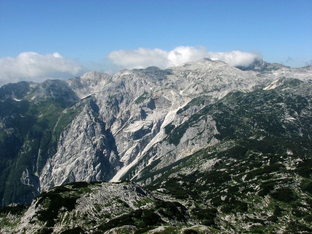 IMG_7304.jpg
