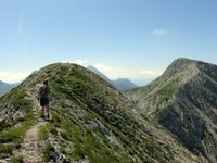 IMG_7306.jpg