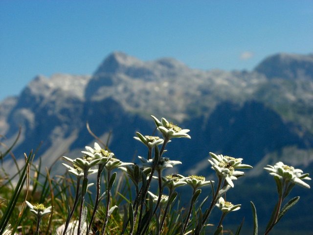 IMG_7314.jpg