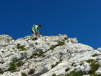IMG_7315.jpg