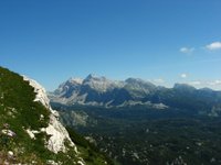 IMG_7317.jpg