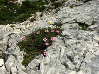 IMG_7318.jpg