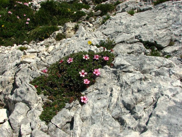 IMG_7318.jpg
