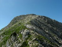 IMG_7320.jpg
