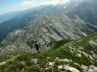 IMG_7349.jpg