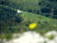 IMG_7357.jpg