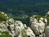 IMG_7363.jpg