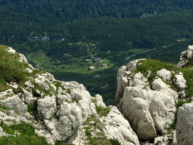 IMG_7363.jpg