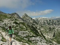 IMG_7368.jpg
