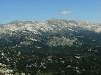 IMG_7379.jpg