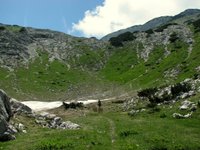 IMG_7405.jpg