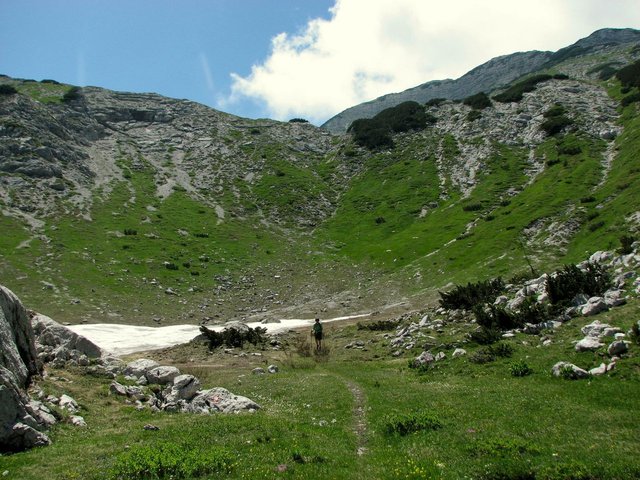 IMG_7405.jpg