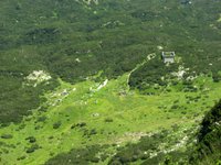 IMG_7409.jpg