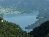 IMG_7423.jpg
