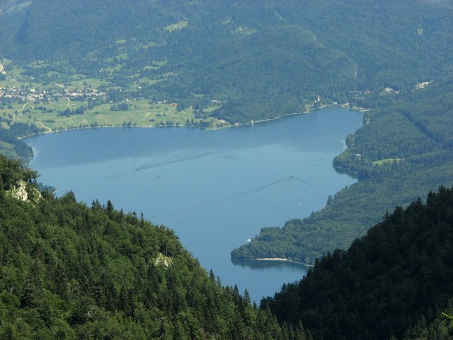 IMG_7423.jpg