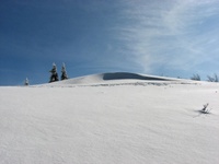 Snežni val