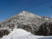 Hoč