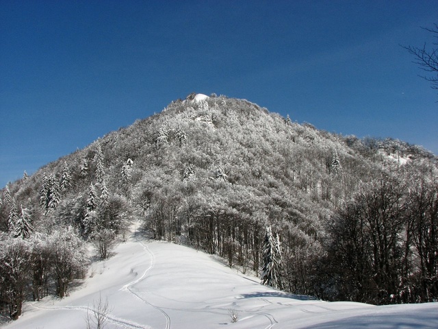 Hoč