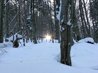 Naravna lučka