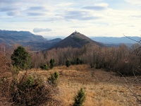 2004