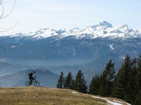 2008