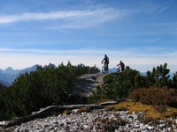 2006